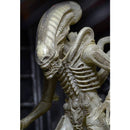 Alien Big Chap Concept (Alien 40th) Ultimate 7" Scale NECA Action Figure, unpackaged closeup