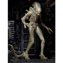 Alien Big Chap Concept (Alien 40th) Ultimate 7" Scale NECA Action Figure, unpackaged