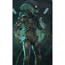 A detailed collectible figure of an Alien Xenomorph standing in a dark sci-fi environment, featuring textured dark gray and black armor with glowing teal-green highlights.