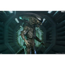 Alien Xenomorph standing in a sci-fi corridor, manufactured by NECA. The figure features dark metallic gray skin with glowing teal-green accents along its spine, tail, and underbelly, set against a dark sci-fi background.