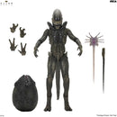 Alien Earth action figure set on a white background, featuring a tall armored Xenomorph figure with multiple interchangeable hands, a dark textured egg, a purple spiky accessory, and a long black tool. Visible text includes Alien Earth and NECA
