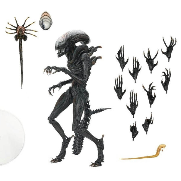 Alien: Romulus Ultimate Scorched Xenomorph 7" Scale NECA Action Figure, unpackaged with accessories