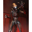 Alien: Romulus Ultimate Scorched Xenomorph 7" Scale NECA Action Figure, front view closeup