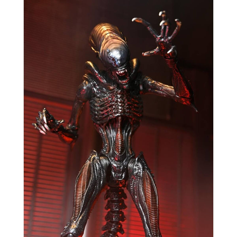 Alien: Romulus Ultimate Scorched Xenomorph 7" Scale NECA Action Figure, front view closeup