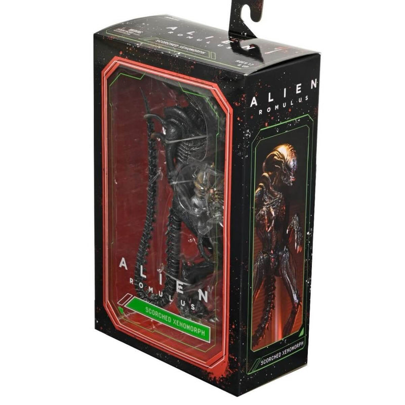 Alien: Romulus Ultimate Scorched Xenomorph 7" Scale NECA Action Figure, in package