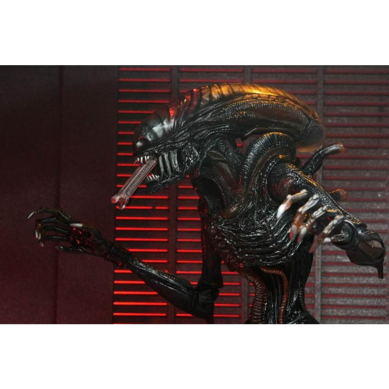 Alien: Romulus Ultimate Scorched Xenomorph 7" Scale NECA Action Figure, side view bust with inner mouth protruding