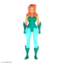 Poison Ivy (Batman Animated Series) 1/6 Scale Action Figure, unpackaged