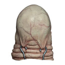 A realistic special effects prosthetic wound or gory scar device with a large rounded beige top and layered scar-like lower sections, shown on a plain white background.