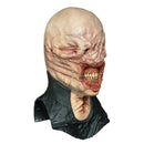 Detailed anatomical model of a human head and neck on a white background