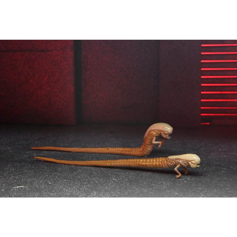 Alien: Romulus - NECA Accessory Set, chestbursters