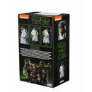 TMNT Raphael in Disguise (1990 Movie) 1/4 Scale NECA Action Figure, back of packaging showing all four teenage mutant ninja turtles and Raphael in disguise