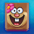 Sandy Cheeks - SpongeBob SquarePants 7" Scale Action Figure - Super7 front cover of package