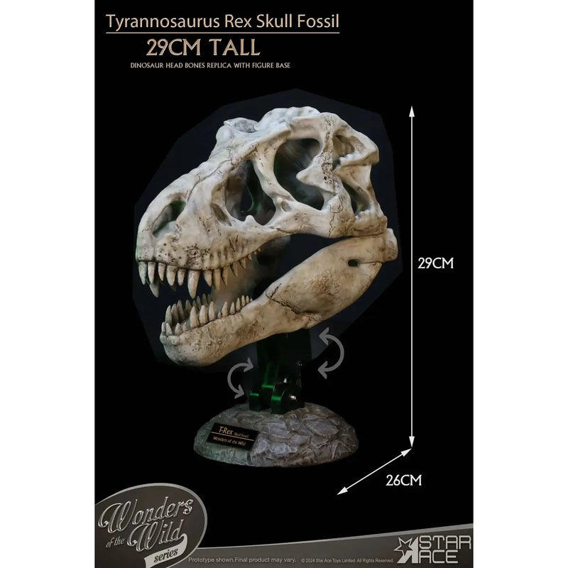 Tyrannosaurus Rex Skull Fossil Replica Wonders of the Wild - Star Ace, showing measurements