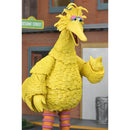 Yellow bird-like character with a textured body in front of a Sesame Street set.