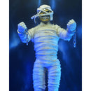 Iron Maiden Mummy Eddie 8-Inch Clothed NECA Action Figure with fists out if front of him with mouth closed shut