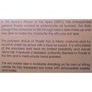 Star Ace X-Plus Planet of the Apes 2001 General Thade Deluxe Articulated 12-Inch Figure w/ War Horse SA9045, rear package closeup, movie info