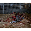 NECA The Thing (1982) Deluxe Ultimate Dog Creature 7-Inch Scale Action Figure, spider legs and face tentacle extended