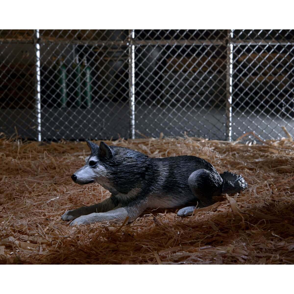 NECA [The• Thing• (Dog •THING)] NECA The Thing 7