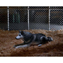 NECA The Thing (1982) Deluxe Ultimate Dog Creature 7-Inch Scale Action Figure, dog before transformation