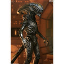 A detailed collectible figure of an Alien Xenomorph from the TV Show Alien Earth, shown in a dynamic pose against a warm, blurred sci-fi background. The figure is highly detailed with textured black and gray skin, a metallic helmet, and a long tail.