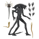 Xenomorph XX121 (Alien: Romulus) Ultimate 7" Scale NECA Action Figure, unpackaged with accessories