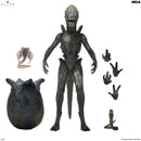 NECA Toony Terrors Alien Swarm action figure set on a white background, showing the main creature, a large egg, a small creature, and multiple interchangeable hands and head expressions.