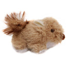 Our Pet's Backyard Squirrel Cat Toy with Real Mouse Sound!