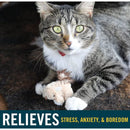 Our Pet's Backyard Squirrel Cat Toy with Real Mouse Sound!