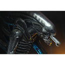 NECA Alien 1/4 Scale 22 Inch Action Figure 40th Anniversary Big Chap Xenomorph