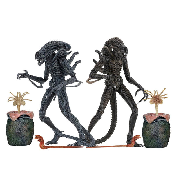 NECA Aliens (1986) Ultimate Alien Warrior 7 Inch Scale Action Figures