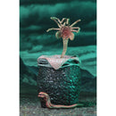 NECA Aliens (1986) Ultimate Alien Warrior 7 Inch Scale Action Figures, Alien Egg, Facehugger and Chestburster