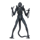 NECA Aliens (1986) Ultimate Alien Warrior 7 Inch Scale Action Figures, Blue