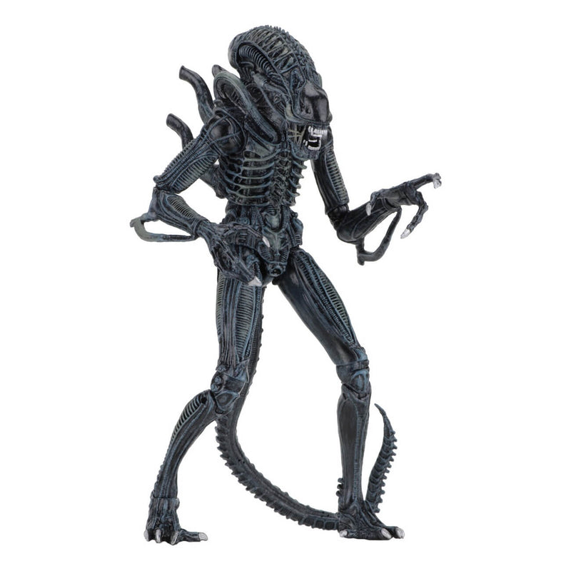 NECA Aliens (1986) Ultimate Alien Warrior 7 Inch Scale Action Figures, Blue Side View