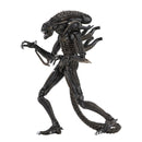 NECA Aliens (1986) Ultimate Alien Warrior 7 Inch Scale Action Figures, Brown Side View
