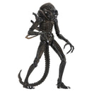 NECA Aliens (1986) Ultimate Alien Warrior 7 Inch Scale Action Figures, Brown Front View