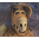 NECA Ultimate Alf (Alien Life Form) 7″ Scale Action Figure, closeup of face