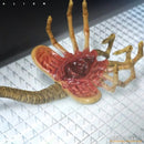 Mezco Toyz Alien Xenomorph One:12 Collective 7 Inch Action Figure facehugger bottom