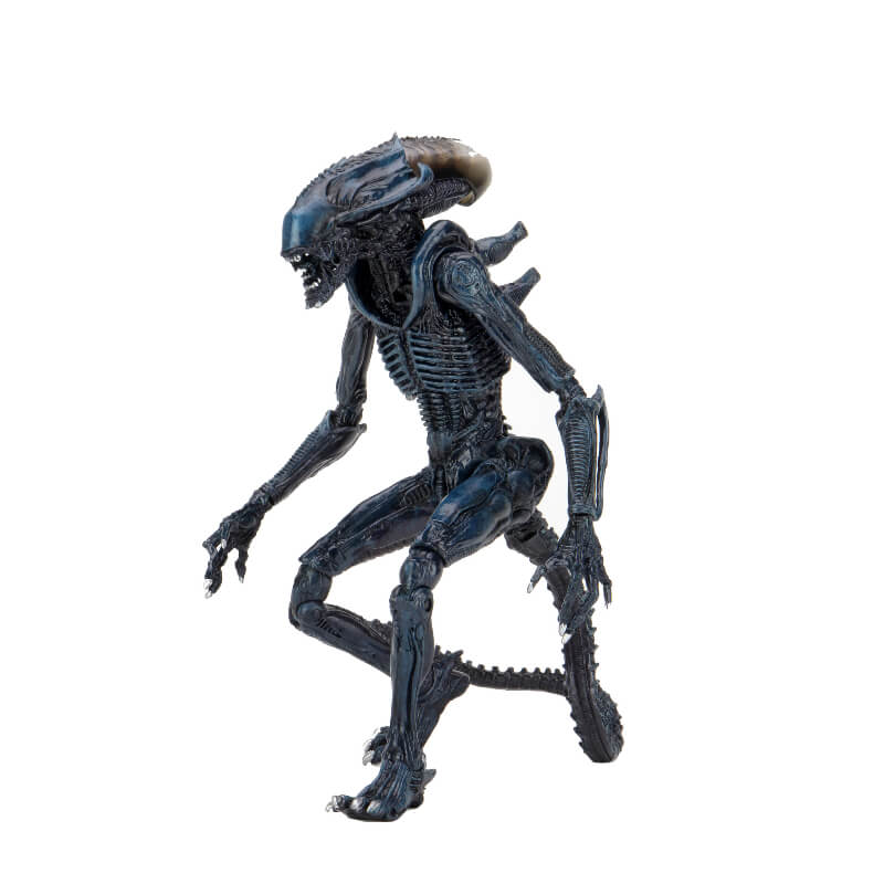 NECA Alien Vs Predator Movie Deco 7 Inch Scale Action Figures Alien