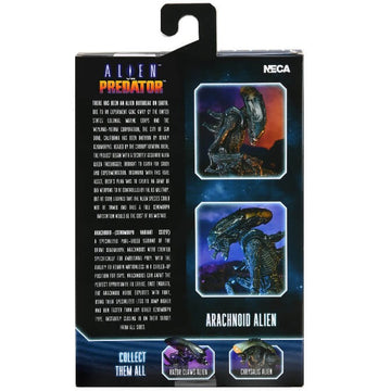 Alien vs Predator (Arcade Appearance) - 7 Scale Action Figure - Hunter  Predator 