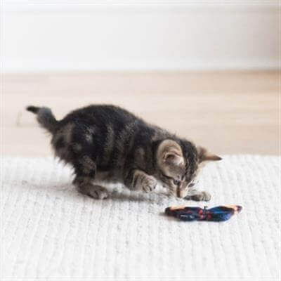 Jackson Galaxy® Crinkle Flies Cat Toy