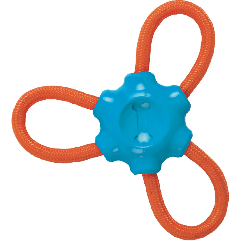 Chase N' Chomp Daisy Rubber Toy