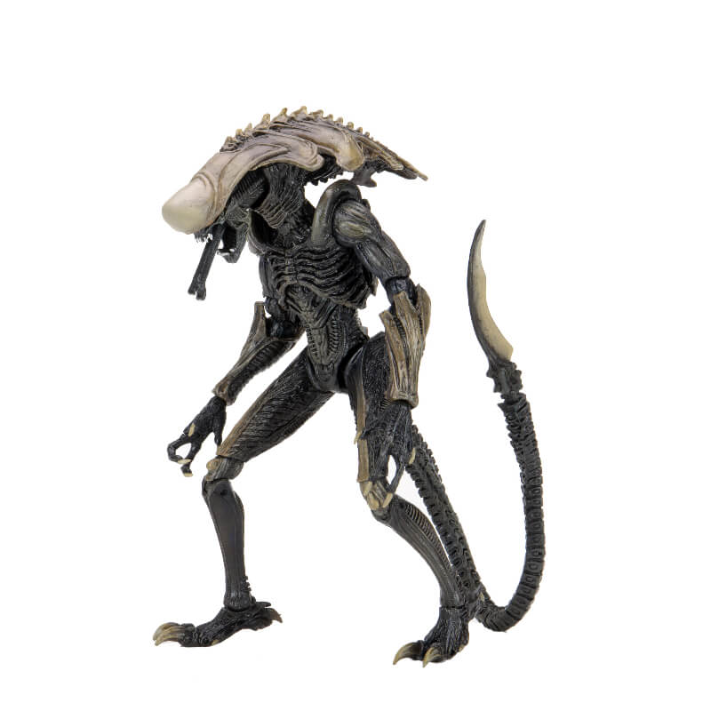 NECA Alien Vs Predator Movie Deco 7 Inch Scale Action Figures Chrysalis Alien