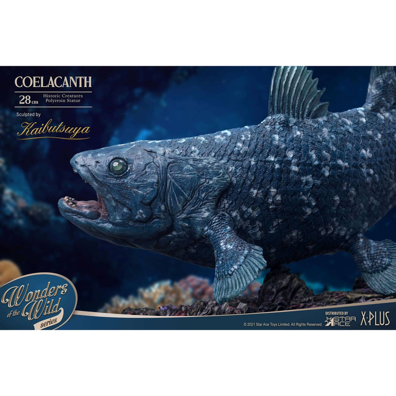 X-Plus Wonders of the Wild Deluxe Coelacanth Statue Closeup