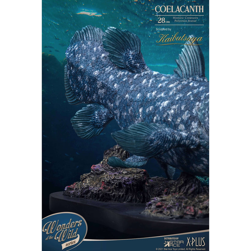 X-Plus Wonders of the Wild Deluxe Coelacanth Statue Tail Closeup