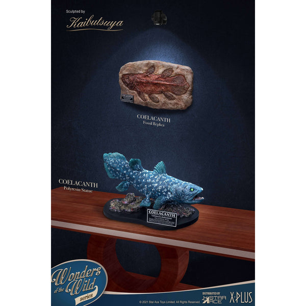 X-Plus Wonders of the Wild Deluxe Coelacanth Statue and Plaque