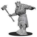 D&D Nolzur's Marvelous Miniatures - Fire Giant (Wave 7)