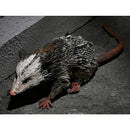 NECA Universal Monsters Dracula Accessory Set, oppossum