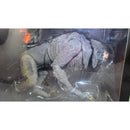 Kessler Werewolf Figure Packaging, Wolf closeup.