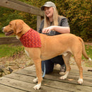 Life is Good® Red Dog Bandana, Dog wearing side view