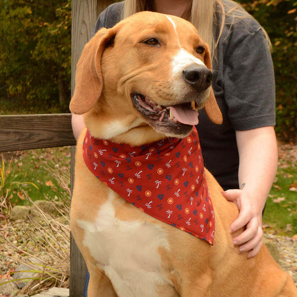Life is Good® Red Dog Bandana, Dog wearing front view
